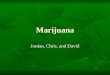 Marijuana Jordan, Chris, and David. Street Names Pot Pot Weed Weed Astro turf Astro turf Mary Jane Mary Jane J Herb Herb Grass Grass Dagga Dagga Dope