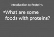 Introduction to Proteins What are some foods with proteins?