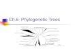 Ch.6 Phylogenetic Trees 2 Contents Phylogenetic Trees Character State Matrix Perfect Phylogeny Binary Character States Two Characters Distance Matrix