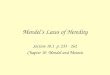 Mendel’s Laws of Heredity Section 10.1 p. 253 - 262 Chapter 10 Mendel and Meiosis