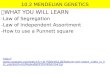 10.2 MENDELIAN GENETICS  WHAT YOU WILL LEARN -Law of Segregation -Law of Independent Assortment -How to use a Punnett square