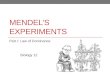MENDEL’S EXPERIMENTS Part I: Law of Dominance Biology 12
