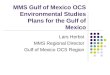 MMS Gulf of Mexico OCS Environmental Studies Plans for the Gulf of Mexico Lars Herbst MMS Regional Director Gulf of Mexico OCS Region