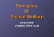 Principles of Animal Welfare Lynda Mellor BVetMed, MPhil, ACAT