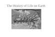The History of Life on Earth. History of Life Originated 3.5-4.0 billion years ago Fossil evidence: stromatolites