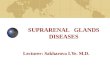 SUPRARENAL GLANDS DISEASES Lecturer: Sakharova I.Ye. M.D