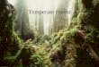 Temperate Forest By Alex Jones. Overview Temperate forests grow between the tropics and the polar regions in both the Northern and Southern Hemispheres