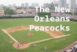 The New Orleans Peacocks. Brian Barden Short Stop #30 Height: 5’ 11” Weight: 200 Throws: Right Bats: Right