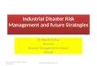 Industrial Disaster Risk Management and future Strategies Dr Rakesh Dubey Director Disaster Management Institute Bhopal Bend Joints Pvt Ltd.13. 10 2010