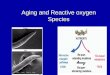 Aging and Reactive oxygen Species. Aging: What is it?  Aging, has been termed generally as a progressive decline in the ability of a physiological process