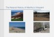 The Natural History of Martha’s Vineyard. Questions to answer: How old is the Vineyard? How did it form? How did it get the shape and unique features?