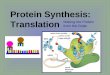 Protein Synthesis: Translation Making the Protein from the Code