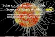 Newark, 31.03.2008Wiegelmann et al.: Coronal magnetic fields1 Solar coronal magnetic fields: Source of Space weather Thomas Wiegelmann, Julia Thalmann,