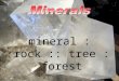 Mineral : rock :: tree : forest.  pure, solid compound  non-biological processes (life does not assist in the process of formation)  very ordered molecular/atomic