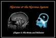Neurons & the Nervous System Chapter 2: The Brain and Behavior