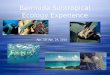 Bermuda Subtropical Ecology Experience Apr. 19- Apr. 24, 2015
