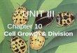 UNIT III Chapter 10 Cell Growth & Division. I. Chemical Pathways Cell Growth and Division A. Limits to Cell Growth (two main reasons why cells divide)