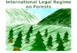 International Legal Regime on Forests An Overview