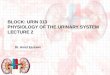 BLOCK: URIN 313 PHYSIOLOGY OF THE URINARY SYSTEM LECTURE 2 1 Dr. Amel Eassawi