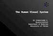 The Human Visual System Dr shabanzadeh A. Neuroscientist Department of Medicine University of Tehran