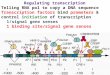 Regulating transcription Telling RNA pol to copy a DNA sequence Transcription factors bind promoters & control initiation of transcription 1/signal gene