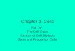 Chapter 3: Cells Part IV: The Cell Cycle Control of Cell Division Stem and Progenitor Cells