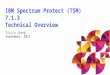 IBM Spectrum Protect (TSM) 7.1.3 Technical Overview Tricia Jiang September, 2015