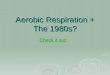 Aerobic Respiration + The 1980s? Check it out! Check it out!