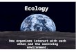 Ecology how organisms interact with each other and the nonliving environment