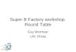 Guy Wormser, SuperB workshop, 25 July 2006 Super B Factory workshop Round Table Guy Wormser LAL Orsay
