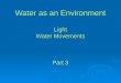 Water as an Environment Light Water Movements Part 3