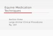 Equine Medication Techniques Section three Large Animal Clinical Procedures Pg. 187