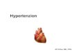 Jiří Slíva, MD, PhD. Hypertenzion. Cardiovascular diseases (CVDs) CVDs are the number one cause of death globally: more people die annually from CVDs