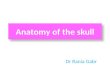 Anatomy of the skull Dr Rania Gabr. Objectives 1.List the bones of the skull 2.Identify the major sutures of the skull 3.Identify the major surface markings