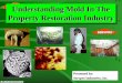 1 Disaster Management & Recovery Understanding Mold In The Property Restoration Industry Presented by: Servpro Industries, Inc