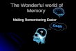 The Wonderful world of Memory Making Remembering Easier DoH!