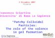 3 Dicembre 2007 Firenze Francesco Sciortino Universita’ di Roma La Sapienza “Patchy Colloidal Particles: The role of the valence in gel formation Introduzione
