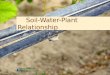 Soil-Water-Plant Relationship Soil-Water-Plant Relationship Natural Resources Conservation Service NRCS United States Department of Agriculture