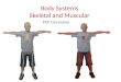 Body Systems Skeletal and Muscular PEP Curriculum