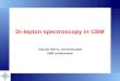 Di-lepton spectroscopy in CBM Claudia Höhne, GSI Darmstadt CBM collaboration
