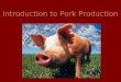 Introduction to Pork Production. Definitions Female after giving birth: Sow Young female: Gilt Having piglets: Farrowing Male: Boar Castrated Male: Barrow