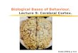 Biological Bases of Behaviour. Lecture 9: Cerebral Cortex. Kalat (2001) p 114