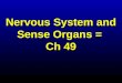 Nervous System and Sense Organs = Ch 49. Also known as a nerve cellAlso known as a nerve cell Made of cell body, dendrites and axonMade of cell body,