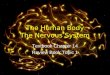 The Human Body The Nervous System Textbook Chapter 14 Review Book Topic 1