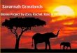 Savannah Grasslands Biome Project by Zora, Rachel, Kate & Aidan