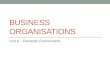 BUSINESS ORGANISATIONS Unit 6 – Domestic Environment