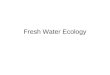 Fresh Water Ecology. Water Cycle oceanic water: majority ______ continental water ______ –surface glaciers (75% of continental water) lakes, rivers (0.3%
