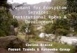 Payment for Ecosystem Services: Institutional Roles & Development Carina Bracer Forest Trends & Katoomba Group