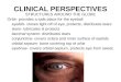 CLINICAL PERSPECTIVES STRUCTURES AROUND THE GLOBE Orbit- provides a safe place for the eyeball eyelids- closes light off of eye, protects, distributes