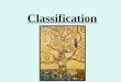 Classification. The History of Organization Aristotle 384-322 BC Interested in biological classification. Patterns in nature. Carl Linnaeus 1707-1778